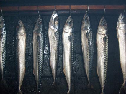 uzená makrela